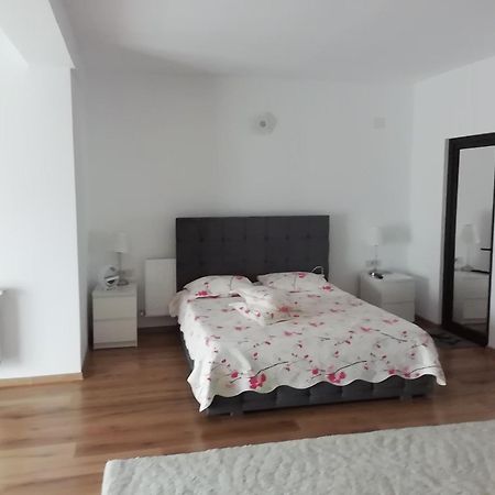 Adelina Apartment Schitu Екстериор снимка