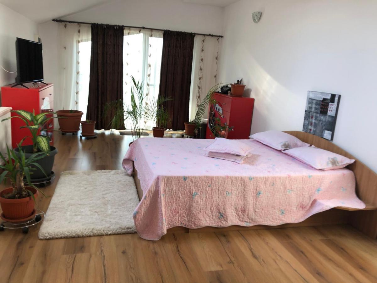 Adelina Apartment Schitu Екстериор снимка