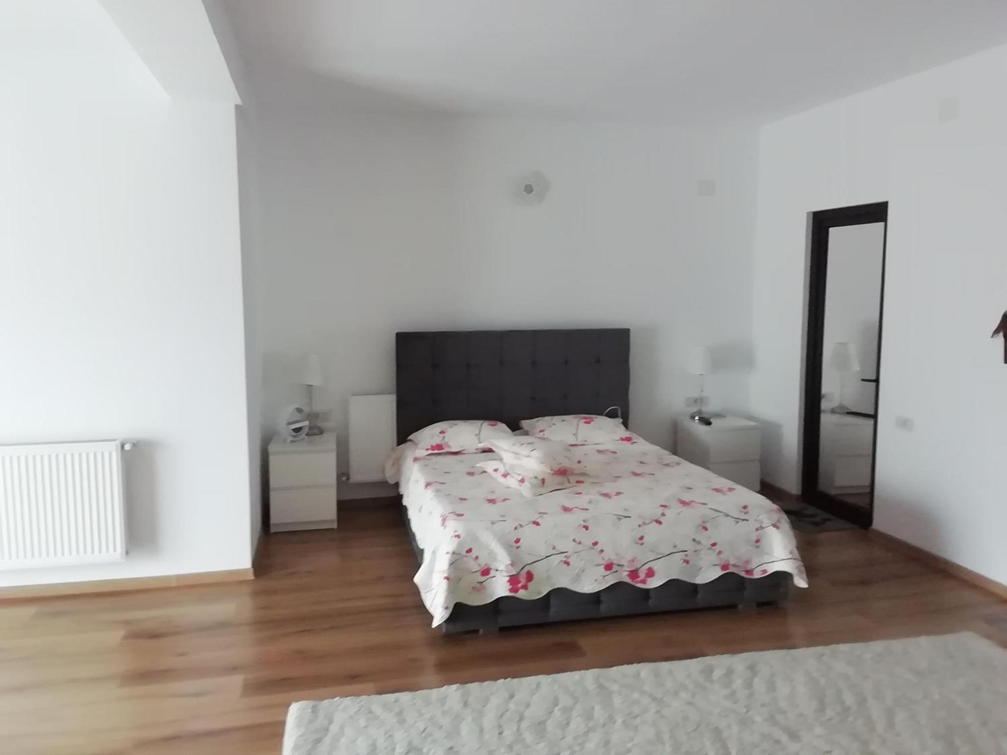 Adelina Apartment Schitu Екстериор снимка